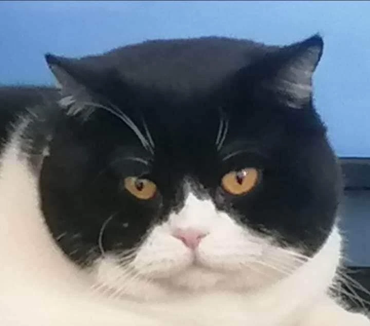 3fd0915e-d949-6b74-b92f-7d37d9d9cbdd_min