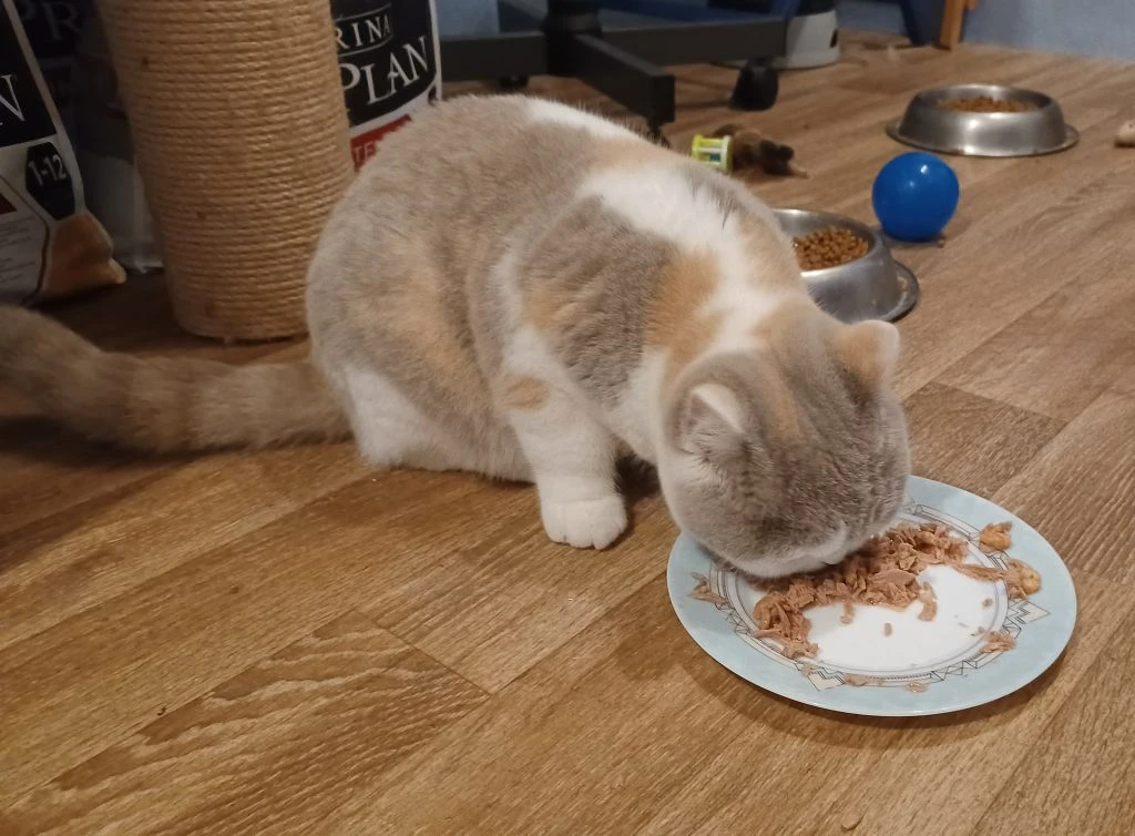 931b83f6-1b84-b134-b11c-f0eb00671c91_min