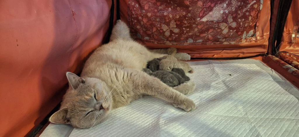 a57b85fb-dadd-1f04-3136-059f15e8b43a_min